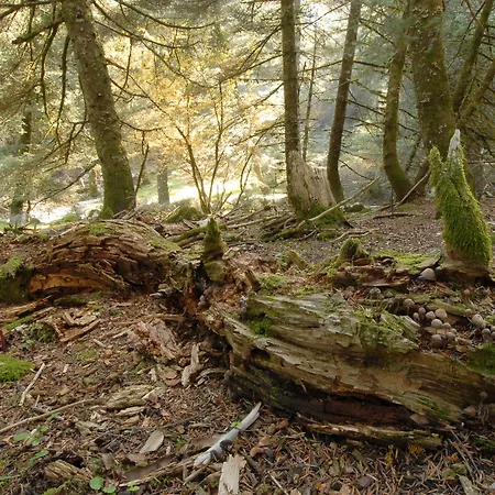 Kalypso & Appartement