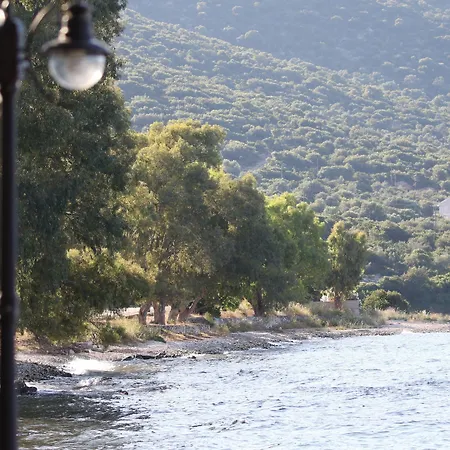 Kalypso &